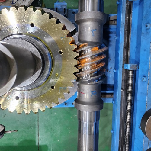 PLANA WORM GEAR SET